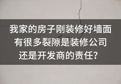 我家的房子刚九游体育好墙面有很多裂隙是九游体育公司还是开发商的责任